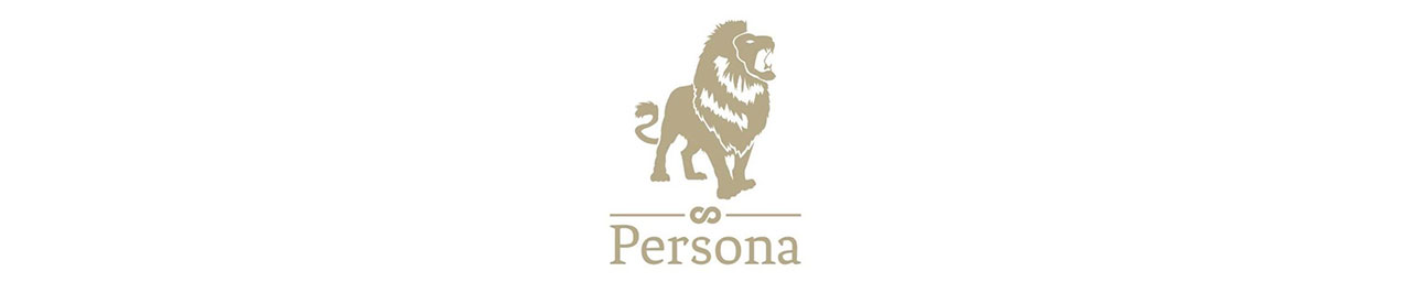 Persona Case Study